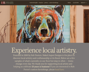 Thumbnail of website design for Naked Aspen Designs company